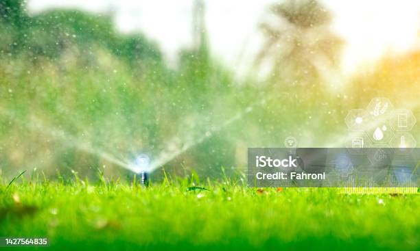 Automatic Lawn Sprinkler Watering Green Grass And Icon Of Smart Farming Concept Smart Agriculture With Modern Technology Concept Sustainable Agriculture Precision Agriculture Climate Monitoring Stock Photo - Download Image Now