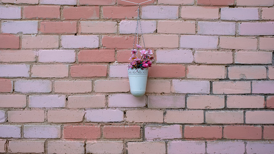 In natural light, a flower pot is hung on a painted brick wall