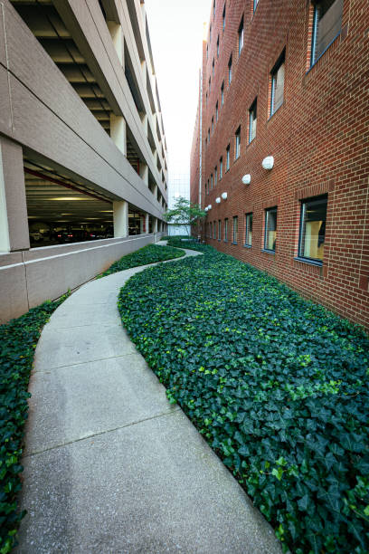 istock Swirling pedestrian pathway between administrative building and parking garage with decorative vegetation surrounding it. 1427571534