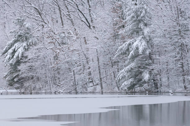 istock Winter, Hall Lake Snow Flocked 1427575417