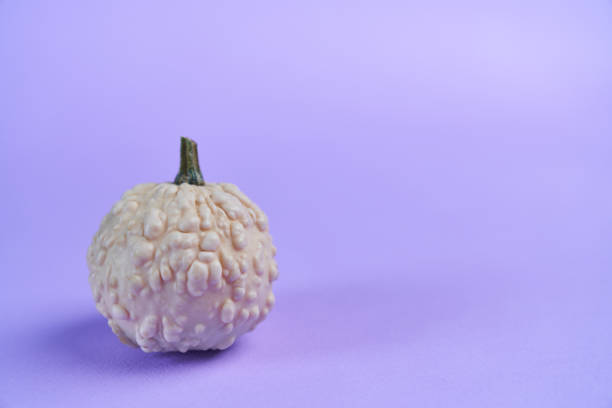 Bizarre  food -  close up photo of weird white  pumpkin with extra space for text
