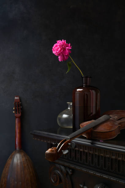 Classic still life with old instruments and a pink peony flower