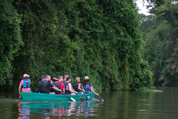 Tourists rowing in Tortuguero Limon, Costa Rica - September 12, 2022: Tourists rowing in the Tortuguero canal tortuguero national park stock pictures, royalty-free photos & images