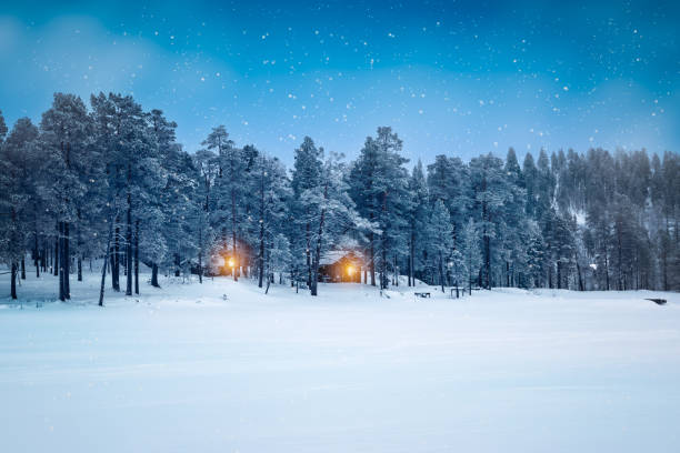 夜の冬の森の雪景色。ラップランド、フィンランド。 - winter chalet snow residential structure ストックフォトと画像