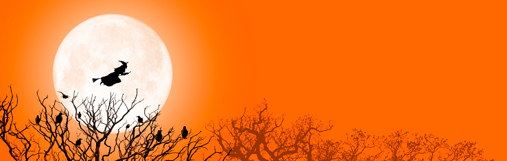Bare trees and a flying witch are silhouetted against an orange Halloween Sky and large full moon.