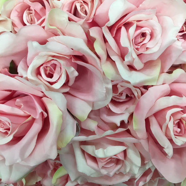 istock rose vintage from fabric on natural  texture for the background 1427584787