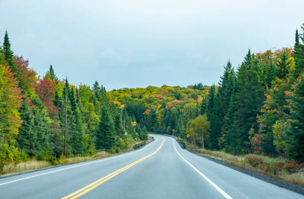 Fall Colors on Highway 60 Through Algonquin Provincial Park Canada
