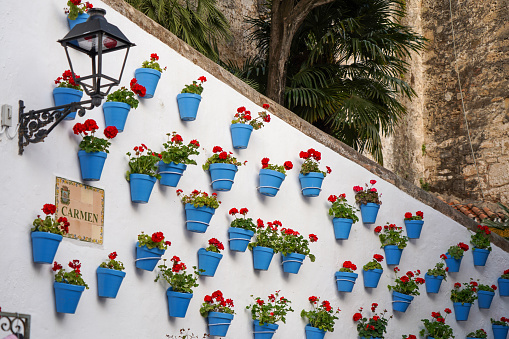 Red flower pots on the white walls in Marbella