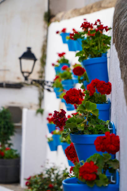 Flower Pots in Marbella Red flower pots on the white walls in Marbella spanish flower pots stock pictures, royalty-free photos & images
