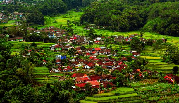 istock Village in the middle of rice fields 1427594617