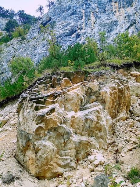 istock Rocks with trees in the Mountains 1427595126