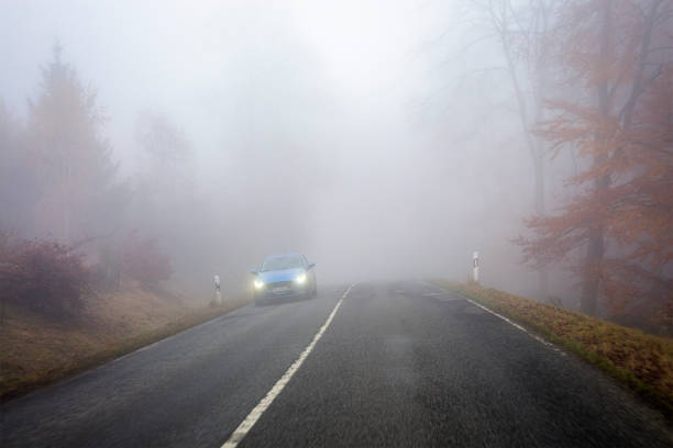 istock Autumnal road through forest - fog 1427598752