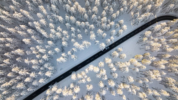 istock Road through the wintery forest 1427599048