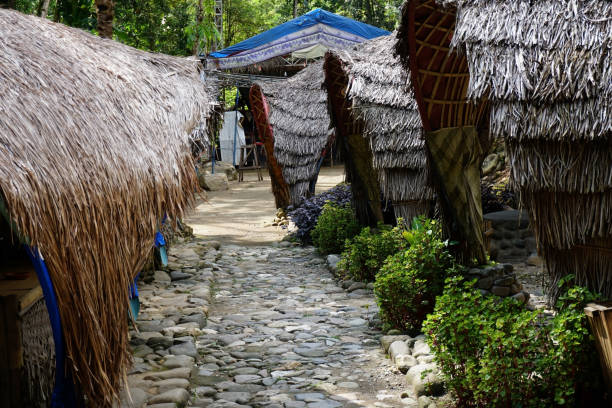 Traditional house with leaf roof