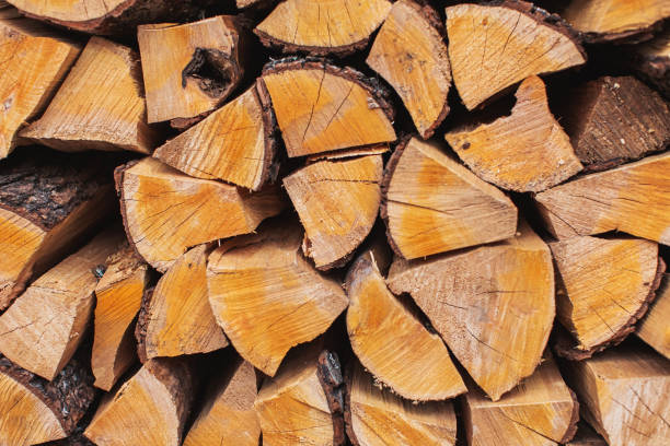 istock Firewood and logs. Sawmill. Natural fuel 1427607698