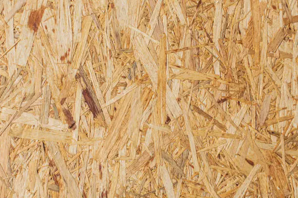 Photo of Wood texture. Sawdust