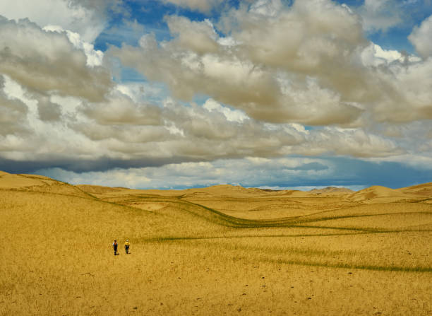 mongolia. sands mongol els, sandy dune desert, - gobi desert imagens e fotografias de stock