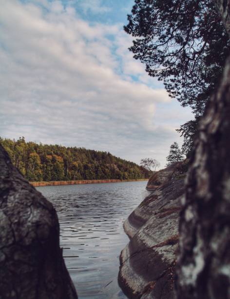 Scenic view of lake during autumn