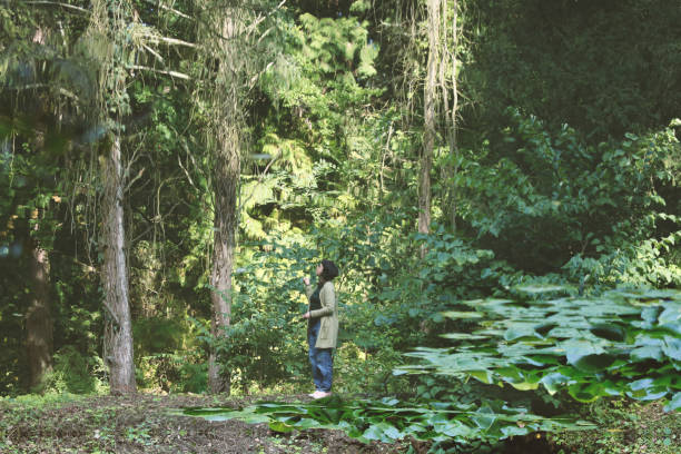 istock Walking to the water lily pond in September 1427614315