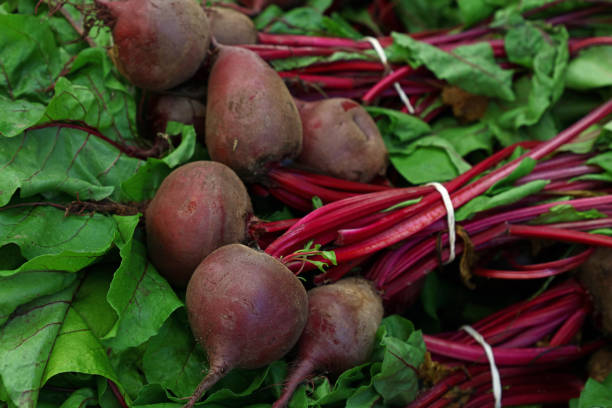 close up heap of fresh new red beet bunches - biet stockfoto's en -beelden