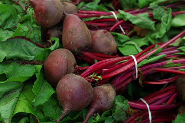 close up heap of fresh new red beet bunches - beet imagens e fotografias de stock