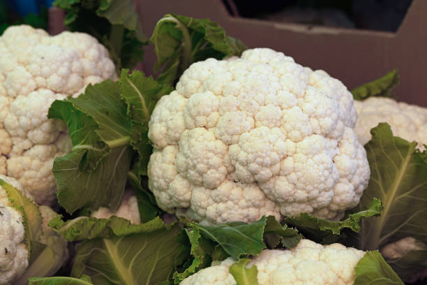 istock Close up fresh cauliflower on retail display 1427615334