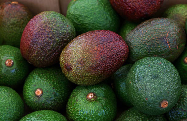 istock Fresh green and purple avocado on retail display 1427616050