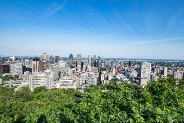 istock Downtown Montreal from Kondiaronk Belvedere 1427616350