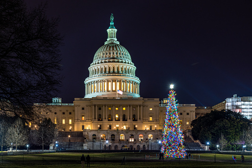 Washington, DC, USA - December 29, 2018: Illuminated United States Capitol building with Christmas tree decorated with holiday lights in the foreground at night. Tourists are taking pictures in the foreground.
