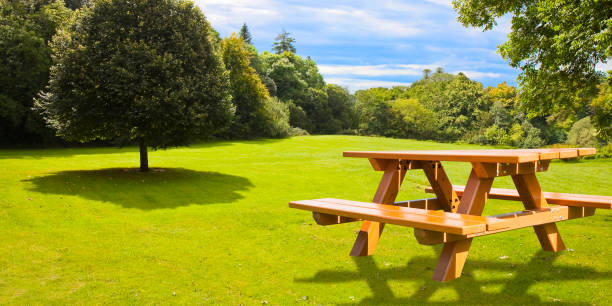 istock Picnic table on a green meadow with trees on background 1427625263