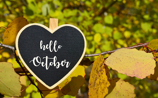 Hello October greeting with decorative heart with text on a yellow leaves background.Fall season concept.Selective focus.