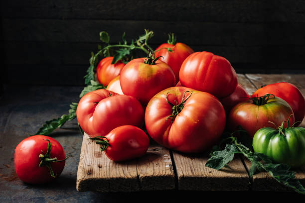 świeżo zebrane dojrzałe czerwone pomidory ekologiczne. - heirloom tomato zdjęcia i obrazy z banku zdjęć