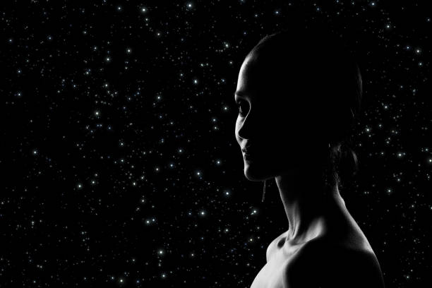 istock beautiful female silhouette 1427645229