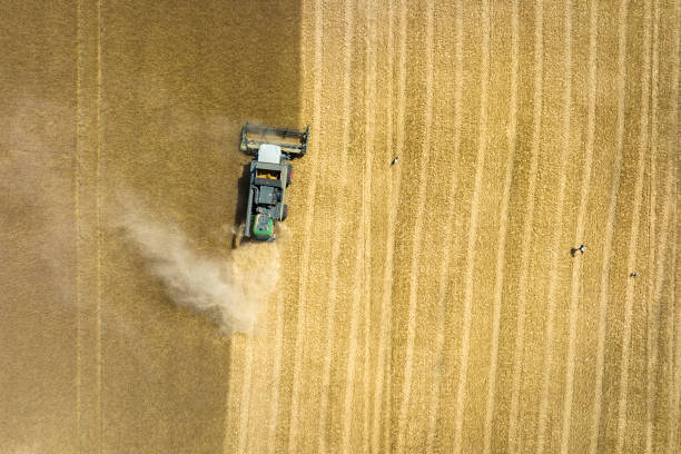 istock Harvesting a wheat field, dust clouds - aerial view 1427648786