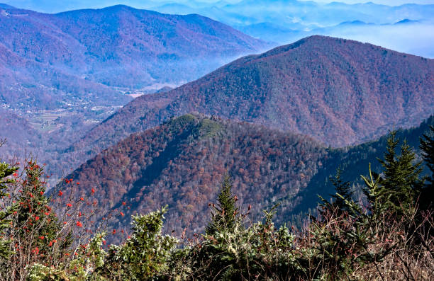 pasmo górskie karoliny północnej - blue ridge mountains mountain range mountain north carolina zdjęcia i obrazy z banku zdjęć