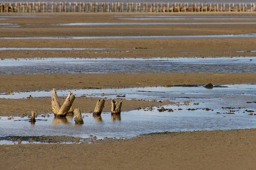 Landscape of the wadden sea during low tide, national park wattenmeer