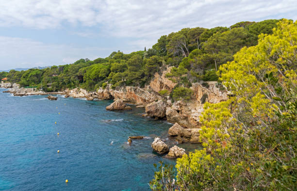 istock Cap d'Antibes, France 1427653845