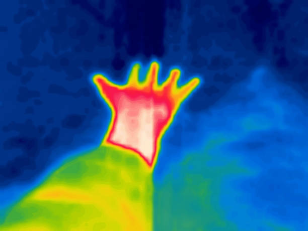 istock Hand gestures captured on thermal imager device. 1427653978