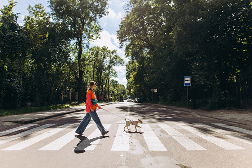 A woman crosses the road with her dog on a leash at a crosswalk