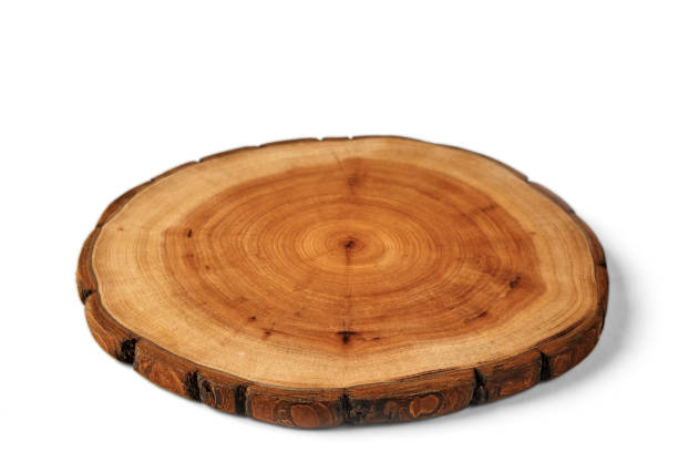 istock Wooden stand for a dish isolated on a white background. Tree trunk cut for product presentation demonstration 1427661973
