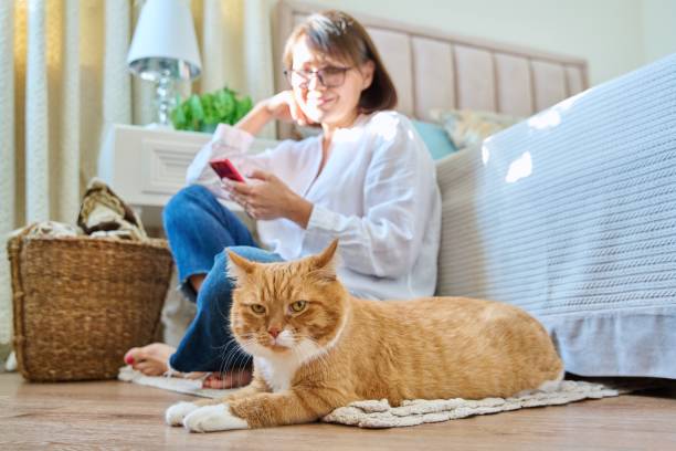 istock Female sitting on floor using smartphone, pet cat lying near owner 1427664714