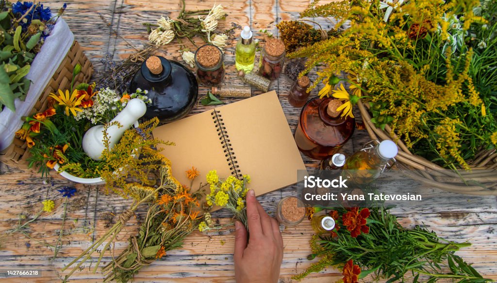 Medicinal herbs on the table. Place for notepad text. Selective focus. Medicinal herbs on the table. Place for notepad text. Selective focus. Nature. Shaman Stock Photo