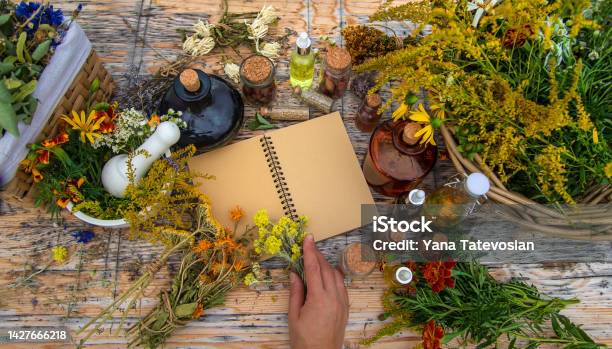 Medicinal Herbs On The Table Place For Notepad Text Selective Focus Stock Photo - Download Image Now
