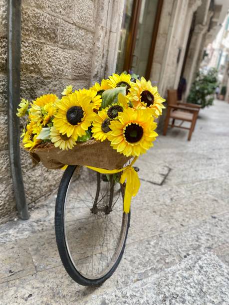 istock Street in Italy 1427673173