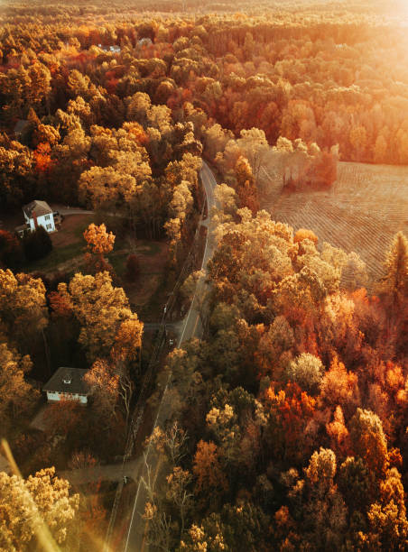 istock autumn road aerial view 1427681598