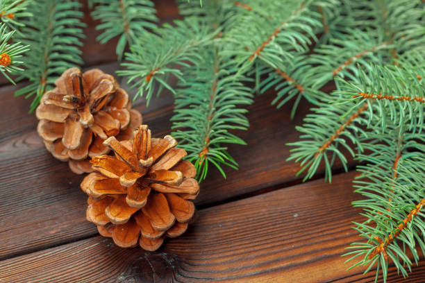 Christmas composition with fir tree branches on wooden background.