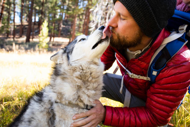 istock Father with baby walk dog in beautiful meadow 1427684591
