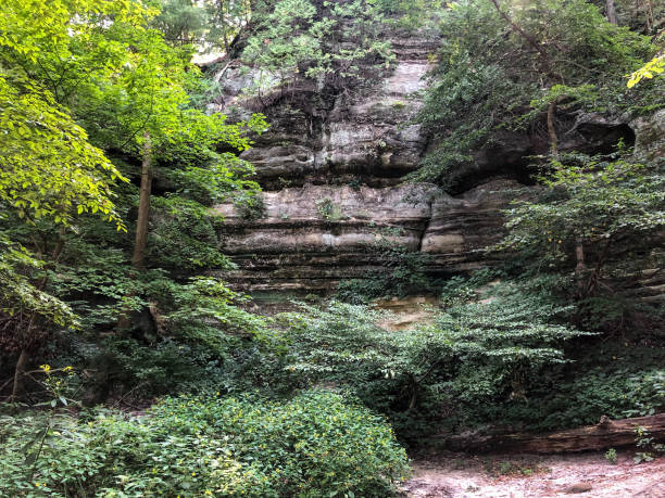 istock Scenic view at Starved Rock State Park in Illinois 1427691232