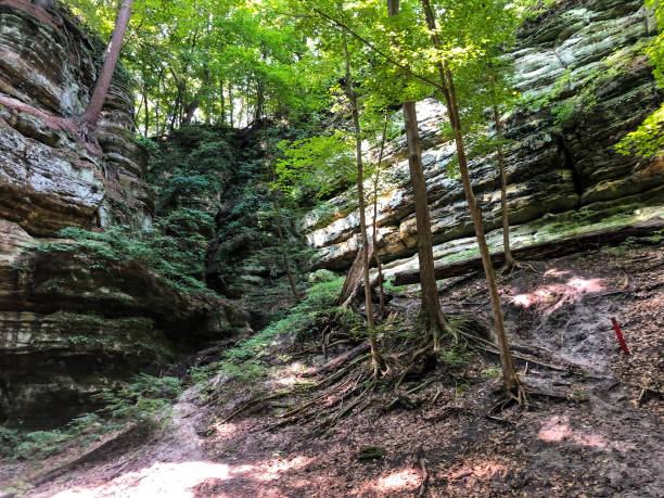 istock Scenic view at Starved Rock State Park in Illinois 1427691254