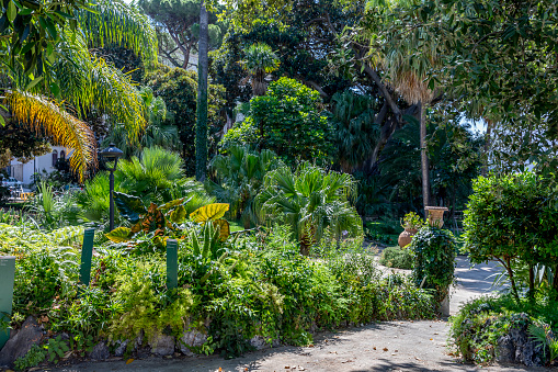 Palermo, Sicily, Italy - July 6, 2020: Garden of  Normans Palace in Palermo, Sicily